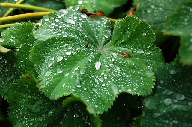 Overcoming Urinary Tract Infections
